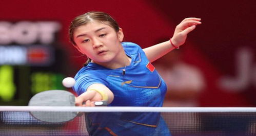 托希尔指出 托希尔指出