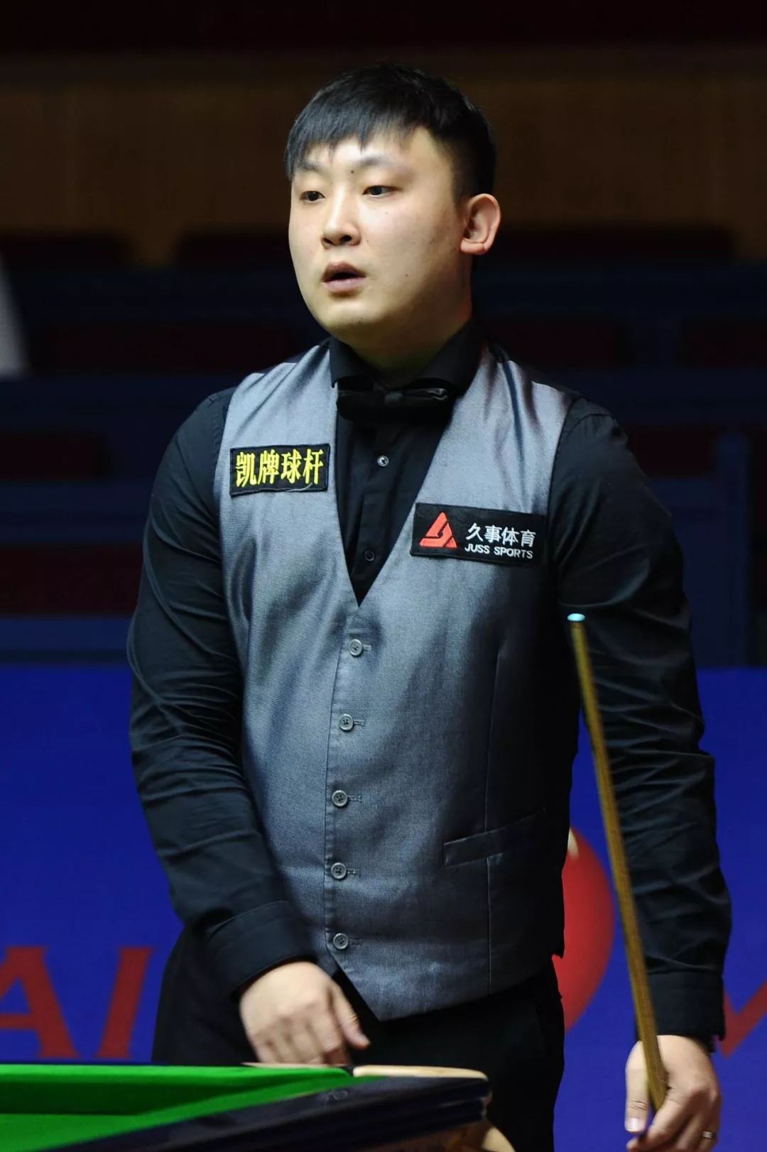 竞技水平的 竞技水平的